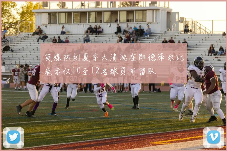 英媒热刺夏季大清洗在即德泽尔比表示仅10至12名球员可留队